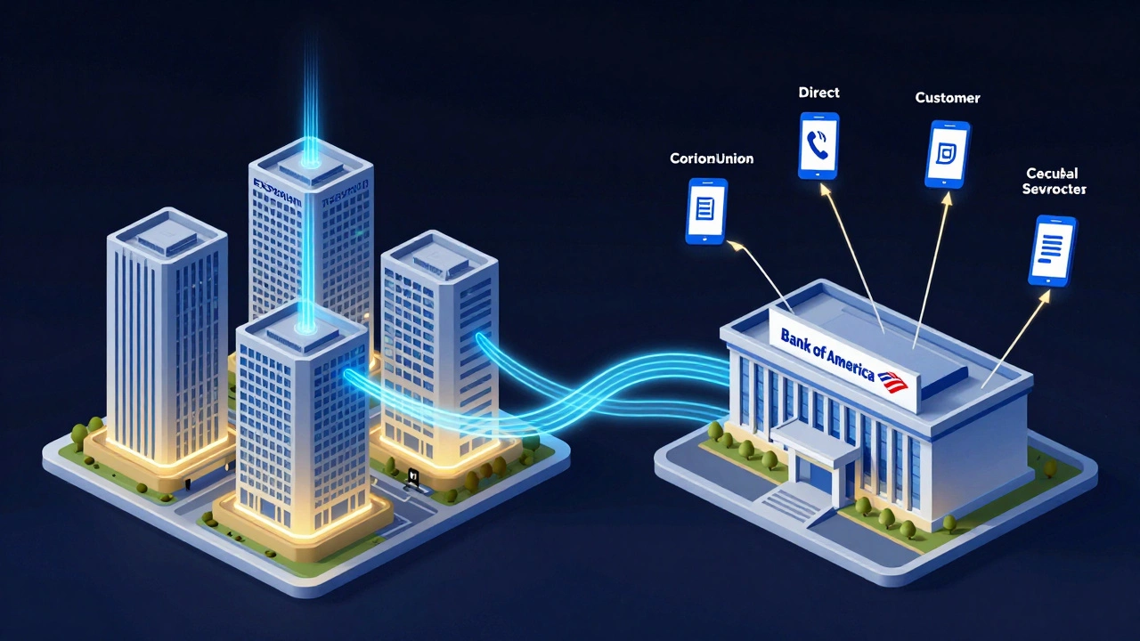 Сравнение бюро кредитных историй и прямого обслуживания банка в визуальной схеме.